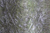 West Lydiatt fibreglass roof work